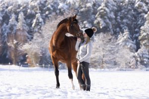 Armin Pollaks Tierfotografie ist mehr als nur visuelle Ästhetik; sie ist eine Feier der Verbindung zwischen Mensch und Tier, eingefangen mit meisterhaftem Können und liebevoller Sorgfalt.